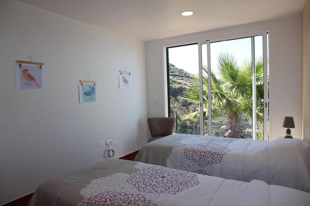 Ferienwohnung Apartamento Mar Azul Calheta  Exterior foto